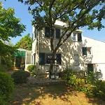 Apartman Tea 1651