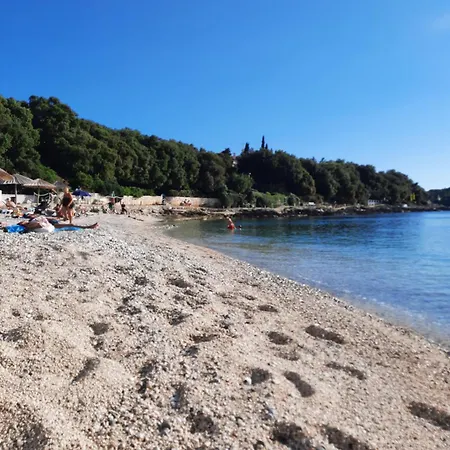 Appartement Tea 1651