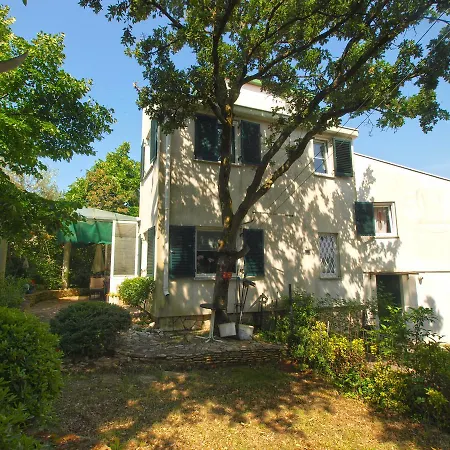 Apartmán Tea 1651