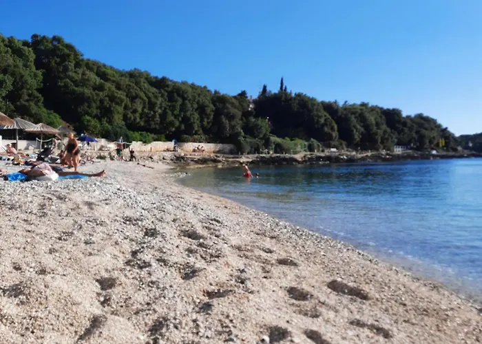 Διαμέρισμα Tea 1651